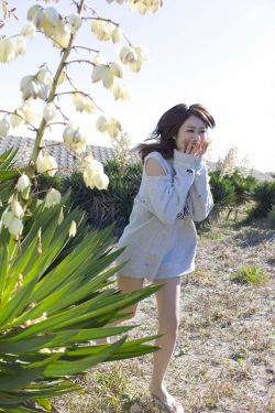 【全息游戏】美人XP的开发日常
