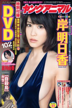 红颜劫